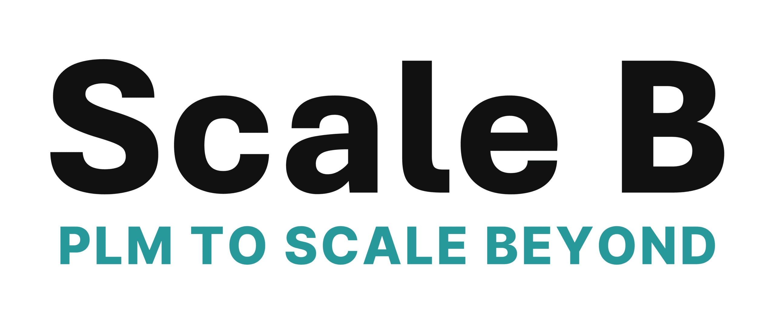 ScaleB